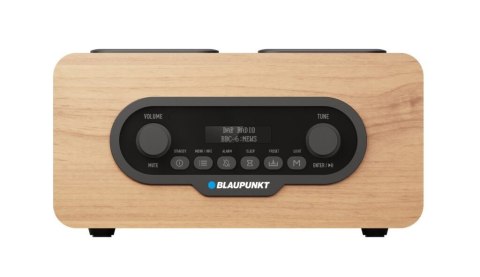 Radio przenośne DAB DR10CR