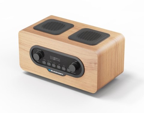 Radio przenośne DAB DR10CR