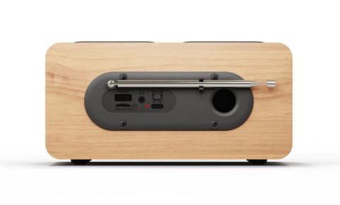 Radio przenośne DAB DR10CR