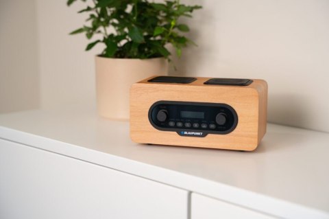 Radio przenośne DAB DR10CR