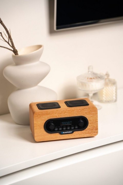 Radio przenośne DAB DR10CR