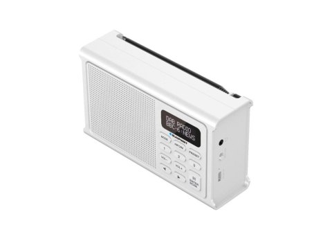 Radio przenośne DAB DR3WH