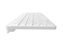 Klawiatura Tang US bezprzewodowa BT + 2.4GHz cicha Slim biała